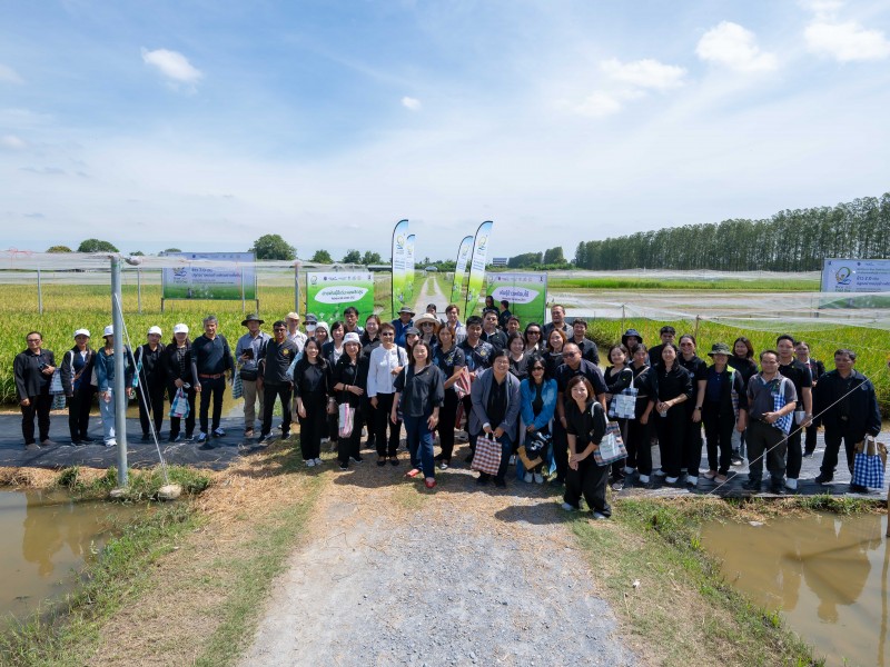 NSTDA-KU Rice Field Day 2025